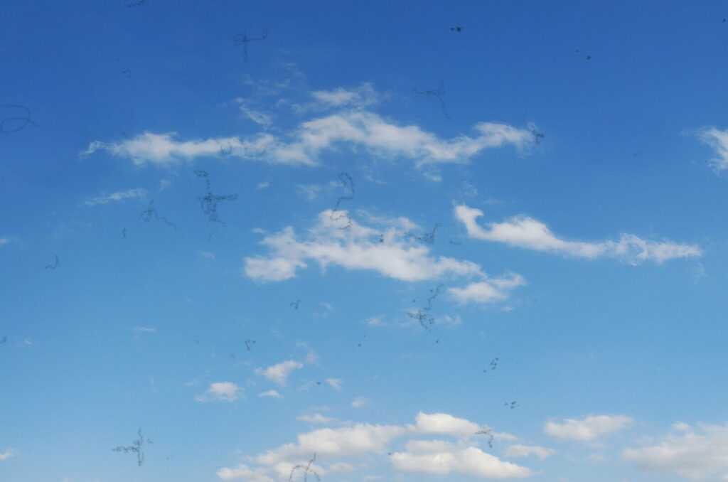 A cluster of black floaters appearing against blue, cloudy skies.